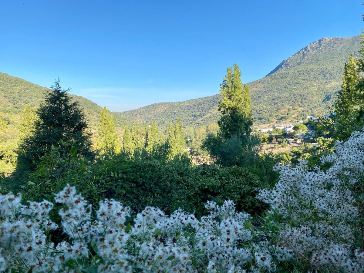 Stay Wild En Las Casitas De Huerta Arriba Benamahoma Dış mekan fotoğraf