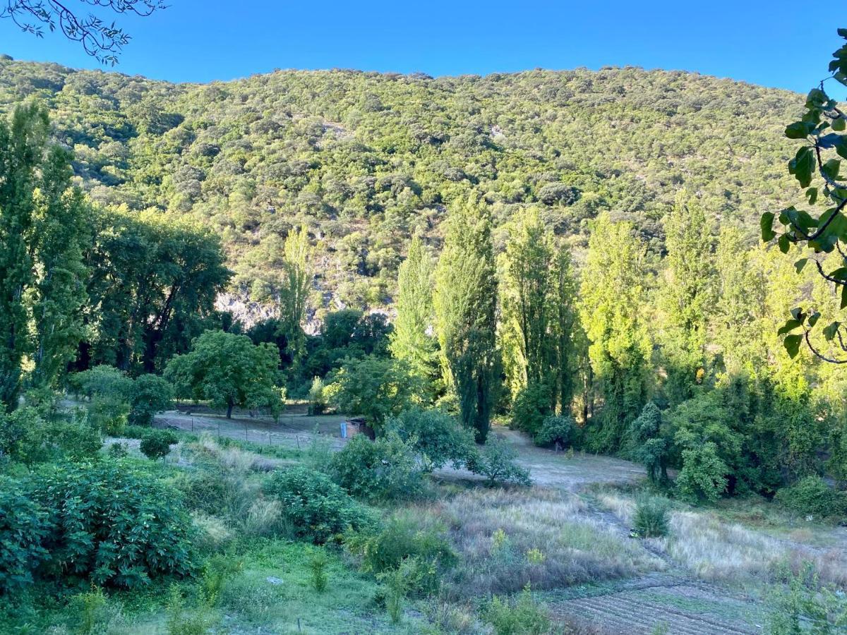 Stay Wild En Las Casitas De Huerta Arriba Benamahoma Dış mekan fotoğraf