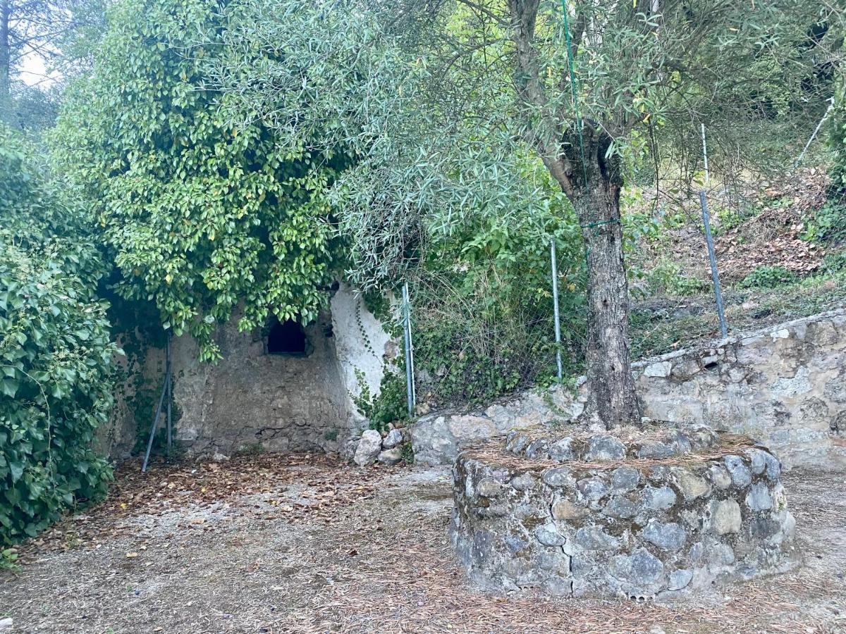 Stay Wild En Las Casitas De Huerta Arriba Benamahoma Dış mekan fotoğraf